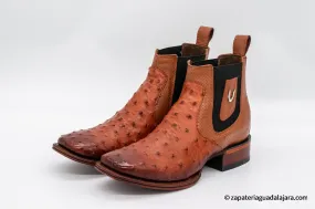 VESTIGIUM 782B0357 OSTRICH FADED COGNAC